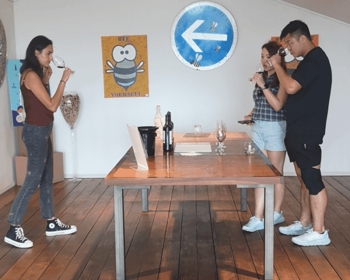 Médoc Wine Tour From Bordeaux: 2 Wineries & 6 Wines - Whats Included in the Tour