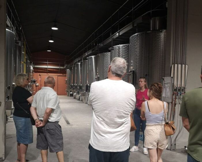 Médoc Wine Tour From Bordeaux: 2 Wineries & 6 Wines - What to Bring for the Tour