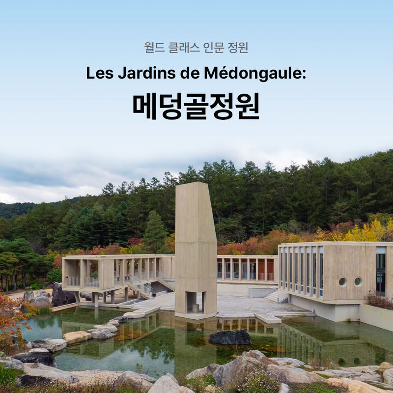 Medongaule Ticket - Key points before you go
