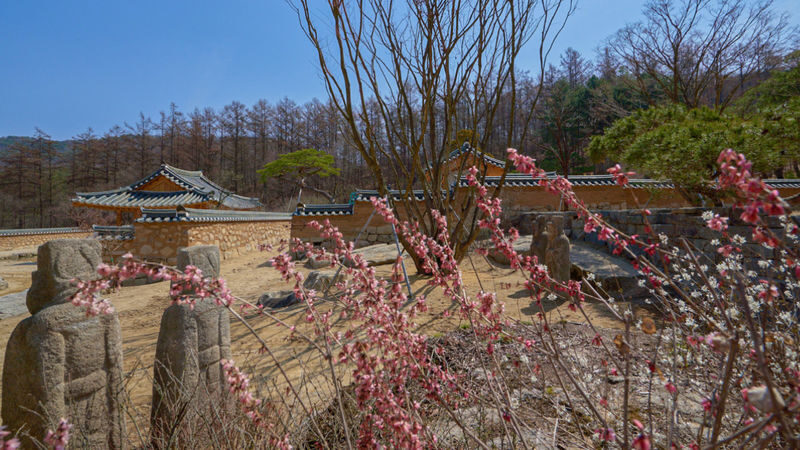 Medongaule Ticket - Should you book Medongaule Garden?