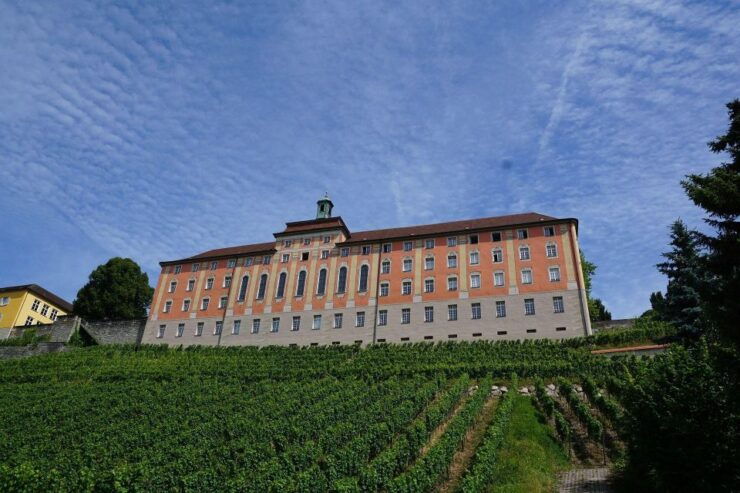 Meersburg: Private Guided Walking Tour - Historical Landmarks