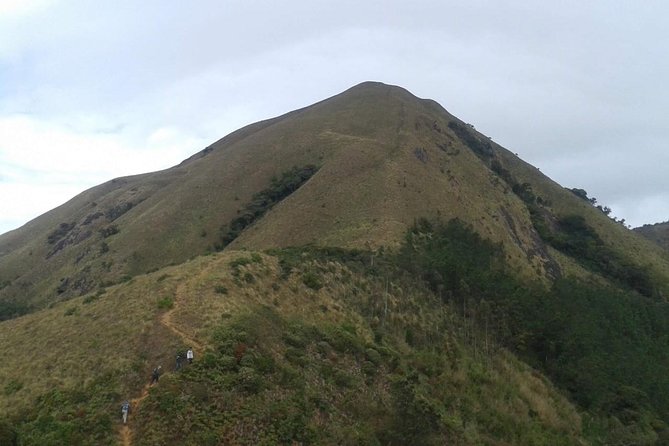 Meesapulimala Sunrise Trek( by Munnar Info) - Optional Transportation and End Point