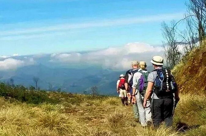 Meesapulimalai Trekking 'the second highest peak in South India' - Private Tour - An In-Depth Look at the Meesapulimalai Trek Experience