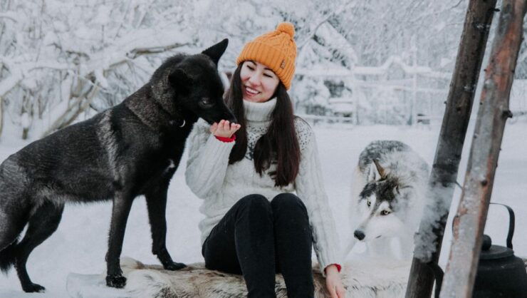 Meet Taivas & the Arctic Wolves - Good To Know