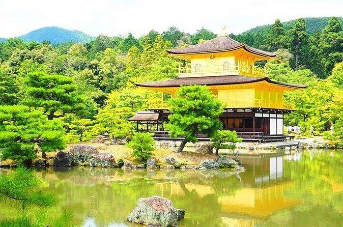 Meet the Deer Discover the Buddha in Nara With a Private Car - Group Size and Personalization