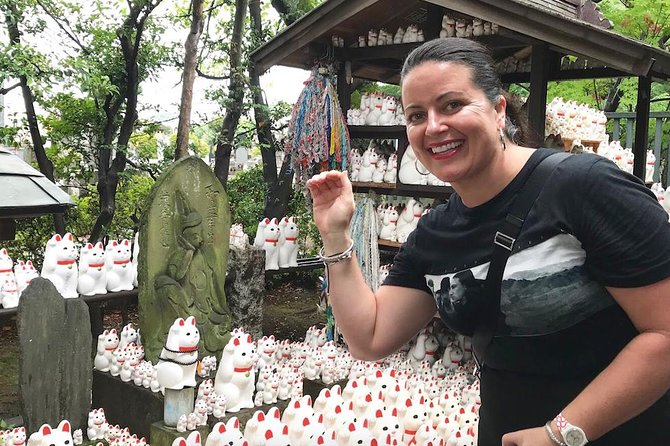 Meet the Lucky Cats in Suburban Tokyo: Gotokuji Walking Tour - Inclusions