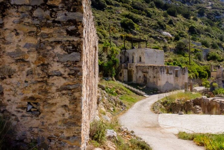 Meet the Trees in Cyclades Hiking (Small Group Experience) - Highlights of the Experience