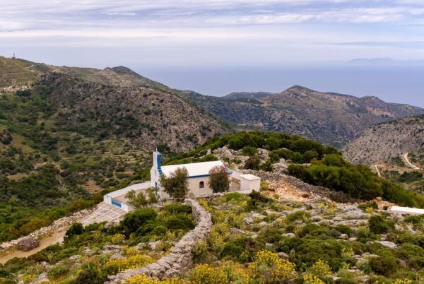 Meet the Trees in Cyclades Hiking (Small Group Experience) - Booking Your Adventure