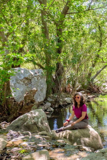 Meet the Trees in Cyclades Hiking Tour (Private Experience) - Booking Information
