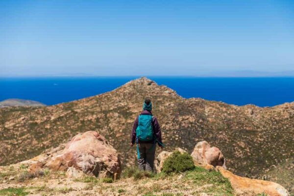 Meet the Trees in Cyclades Hiking Tour (Private Experience) - What to Expect