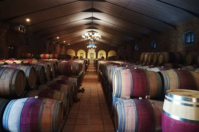 Meet the Wine Maker Private Tour From Cape Town - Tour Highlights