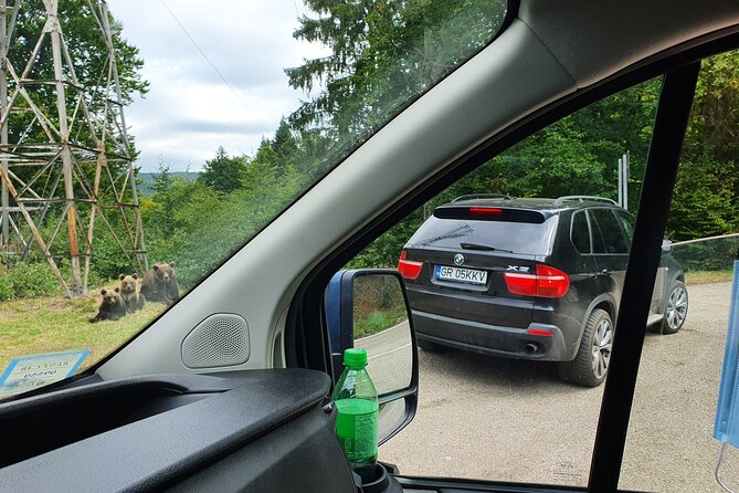 Meet Wild Brown Bears on the Roads to Real Draculas Fortress - Cancellation Policy