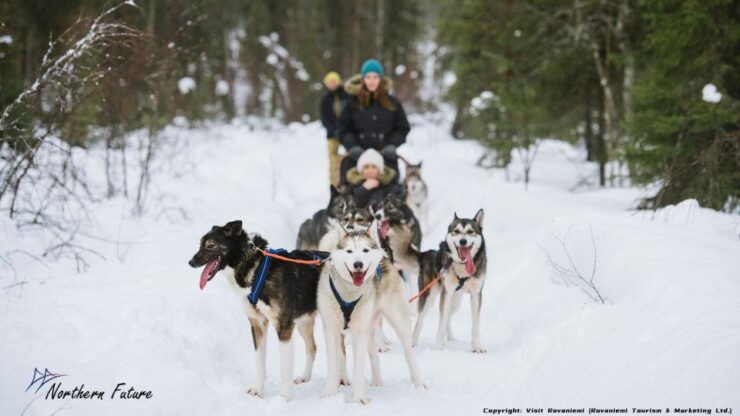 Meeting Santa Claus & Arctic Reindeer Safari & Hug Huskies - Activity Details