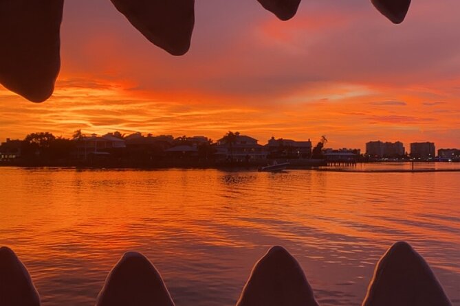 Mega Bite Dolphin Tour Boat in Clearwater Beach - Meeting and Pickup Information