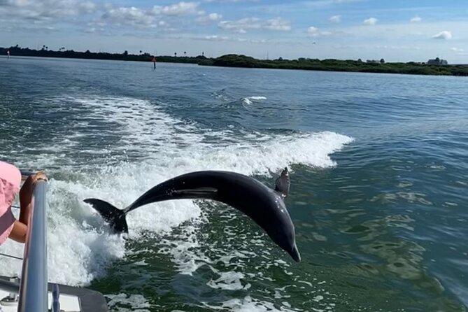 Mega Bite Dolphin Tour Boat in Clearwater Beach - Reviews and Ratings