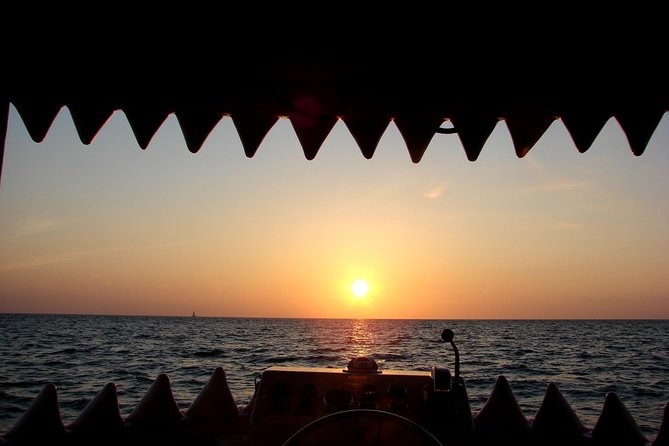 Mega Bite Dolphin Tour Boat in Clearwater Beach - The Sum Up