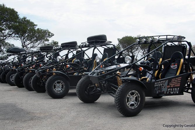 Mega Buggy Tours (Cala Millor, Cala Bona & Sa Coma / No Offroad - Tour Highlights