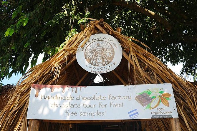 Mega Excursion Zipline, Sloths & Monkeys, Chocolate Factory, Beach & Shuttle - Logistics and Requirements