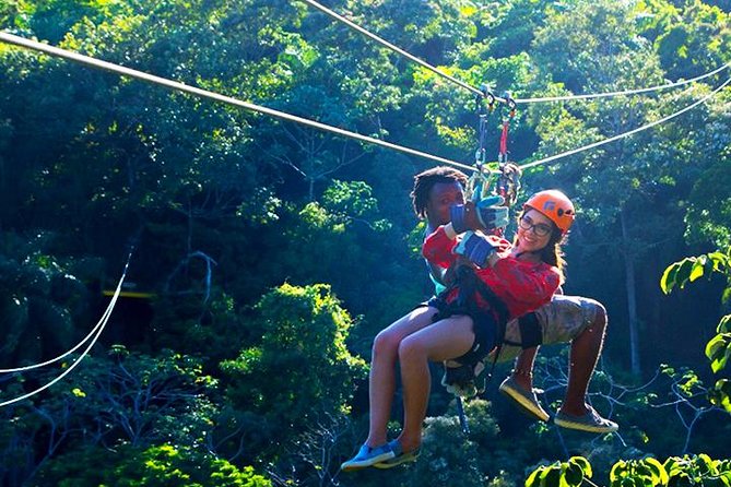 Mega Excursion Zipline, Sloths & Monkeys, Chocolate Factory, Beach & Shuttle - Reviews and Ratings
