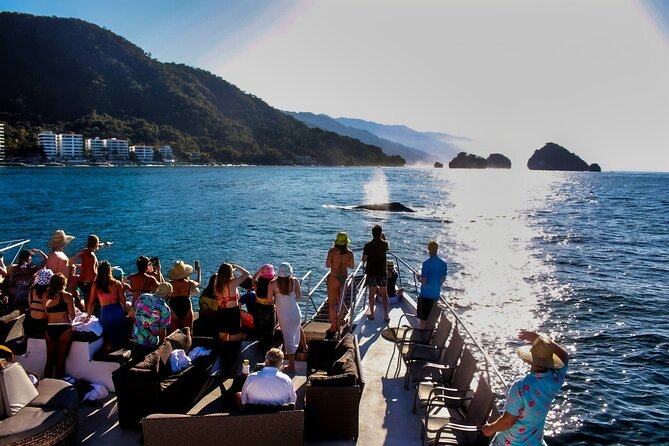 Mega Yacht Whale Watching Sunset Tour [All-Inclusive] - Overview and Experience Highlights