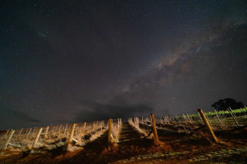 Megalong Valley: Wine Tasting and Stargazing Experience - An In-Depth Look at the Experience