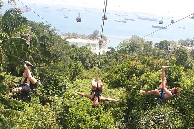 MegaZip Adventure Ride Jungle Beach & Sea Experience |Singapore - Final Thoughts: Who Will Love This Adventure?