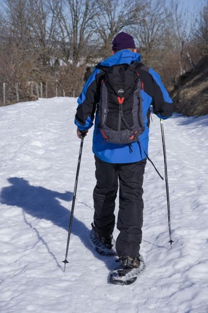 Megève: Icefall & Snowshoeing Day - Full Description
