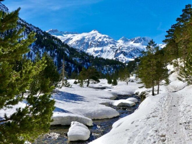 Megève: Icefall & Snowshoeing Day - Private Group