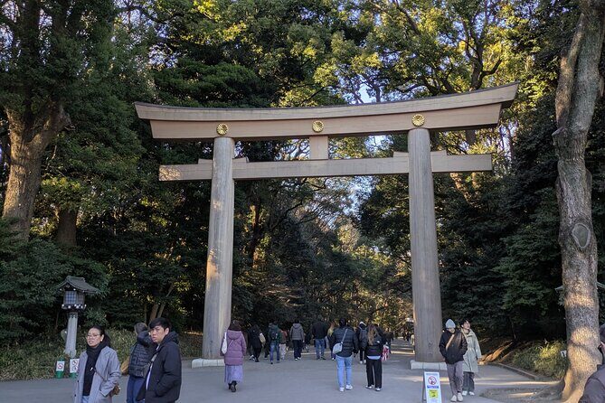 Meiji Jingu Shrine and Park Tour - The Value of This Tour