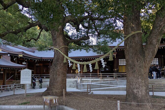 Meiji Jingu Shrine and Park Tour - Who Will Love This Tour?