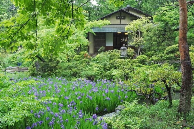 Meiji Jingu Shrine; Aoyama; Art Museums and Walking Tours - Practical Details and Logistics