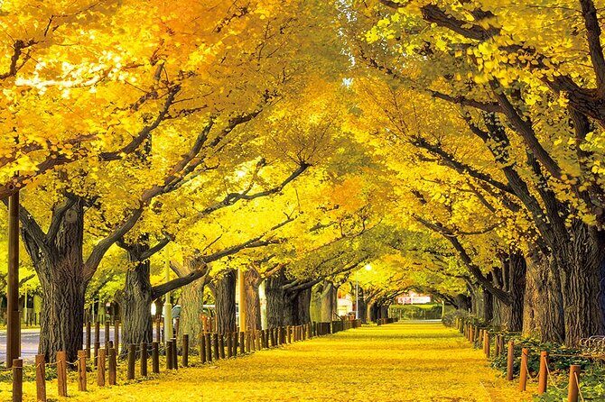 Meiji Shrine & Harajuku Walking Tour Tradition Meets Pop Culture - FAQ