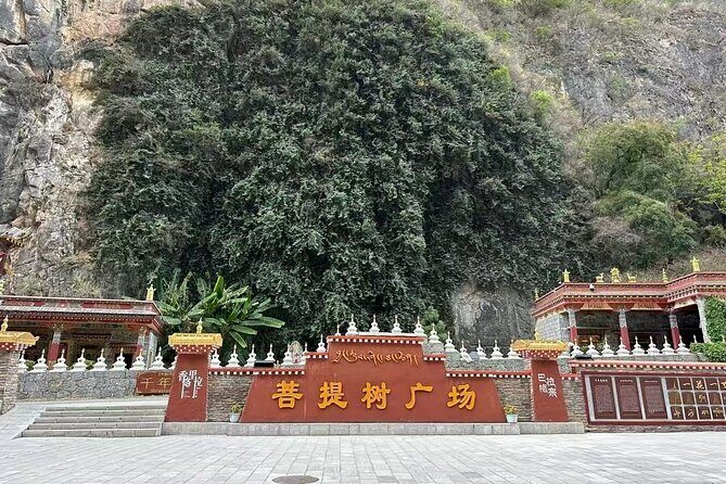 Meili Snow Mountain Golden Sunrise at Feilai Temple & Balagezong - Why This Tour Is a Good Fit