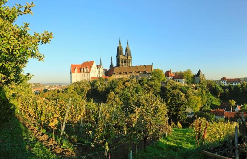 Meissen: Wine hike to the Rothes Gut winery including 3-person wine tasting - A Detailed Look at the Experience
