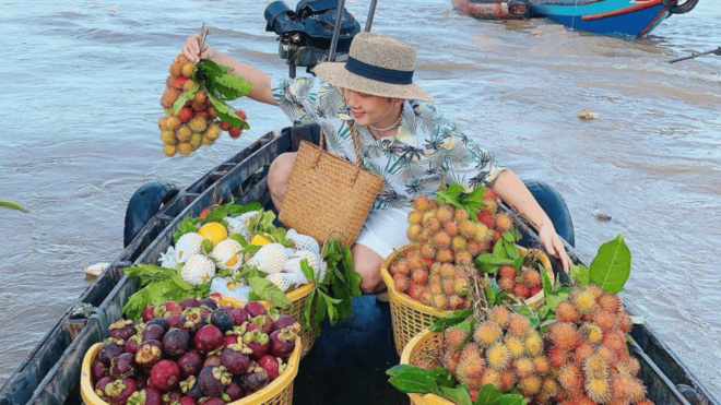 Mekong 1 Day Tour Can Tho - Floating Market & Cu Chi Tunnels - Important Information