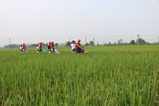 Mekong Countryside by Vespa Half-Day Tour With Lunch  - Ho Chi Minh City - Terms and Conditions