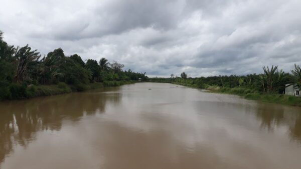 Mekong Day Tour by Car: Floating Market, Cooking & Cycling - Exploring Family-Run Businesses