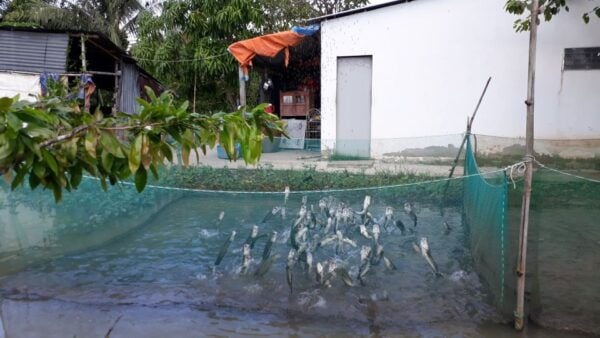 Mekong Day Tour by Car: Floating Market, Cooking & Cycling - Common Questions