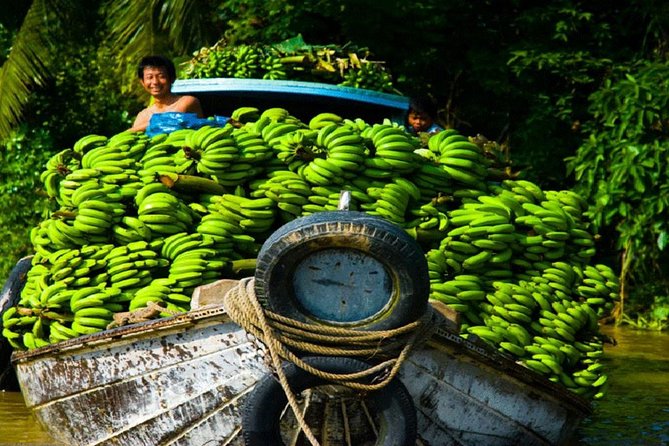 Mekong Delta 1 Day Tour - Tour Highlights
