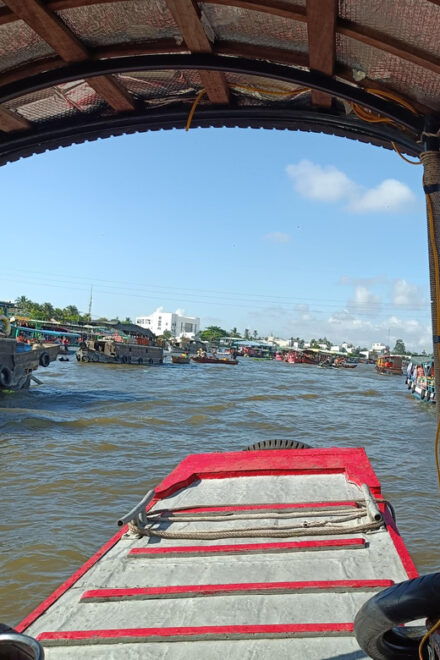 Mekong Delta 2 Days 1 Night (My Tho - Ben Tre - Can Tho) - Exclusions to Consider
