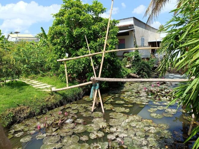 Mekong Delta 2 Days 1 Night (My Tho - Ben Tre - Can Tho) - Customer Feedback and Ratings
