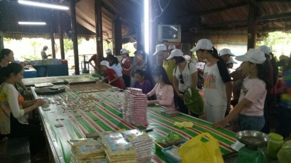 Mekong Delta Adventure - Best Time to Visit