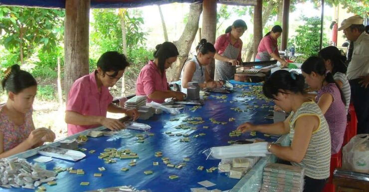 Mekong Delta Charm – SPECIAL My Tho & Ben Tre Private Tour - Good To Know