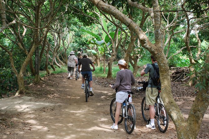Mekong Delta Cycling Trip Including Cai Be - Practical Information