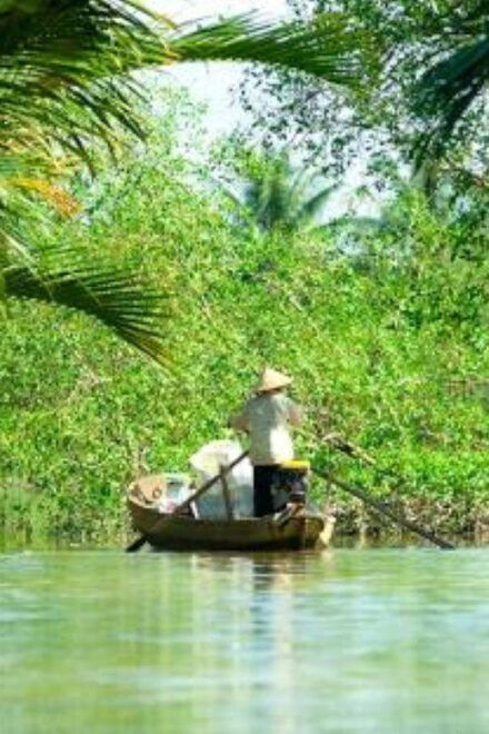Mekong Delta Day Trip From Saigon - Activities and Experiences