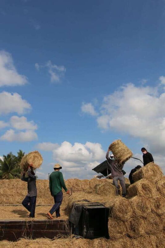 Mekong Delta Discovery: 2-Day Tour of Ben Tre & Can Tho - What to Pack and Tips