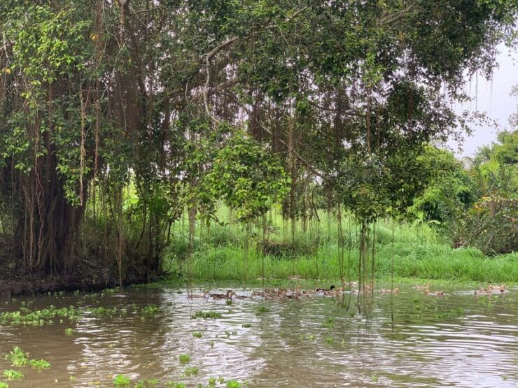 Mekong Delta: Experience the Hidden Gem of Local River Life - Pricing and Booking Information