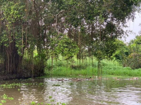 Mekong Delta: Experience the Hidden Gem of Local River Life - Frequently Asked Questions