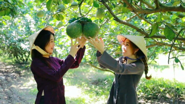 Mekong Delta Full Day - My Tho & Ben Tre - Four Islands Tour - Mekong River Cruise
