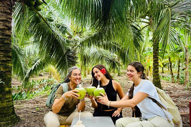Mekong Delta Full Day River and Culture Food Tour - Introduction